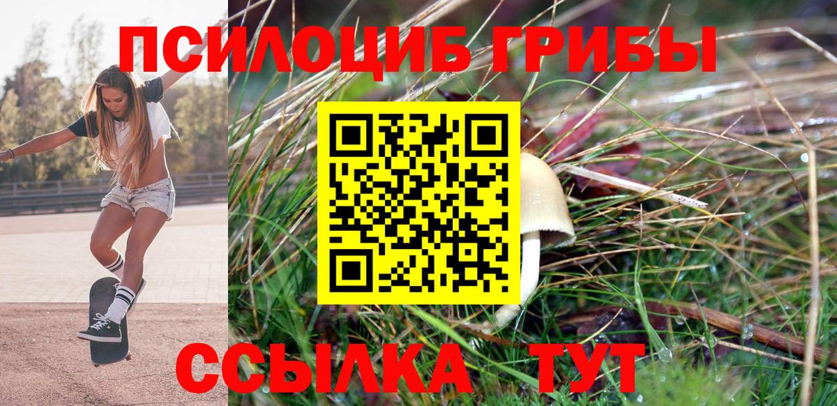 Волжск  наркотики  Вход с VPN  Псилоцибиновые грибы MAGIC MUSHROOMS 