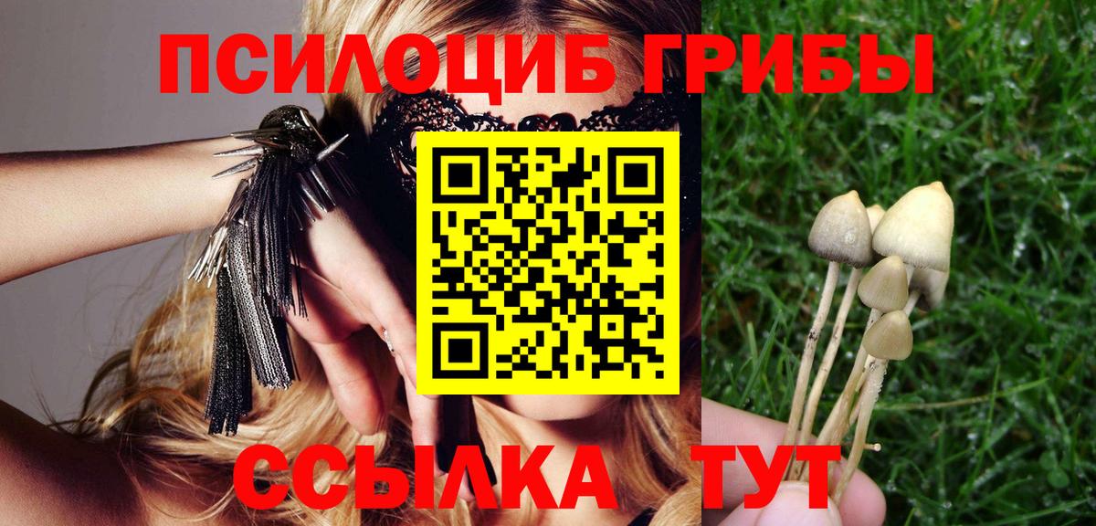 Псилоцибиновые грибы прущие грибы Волжск